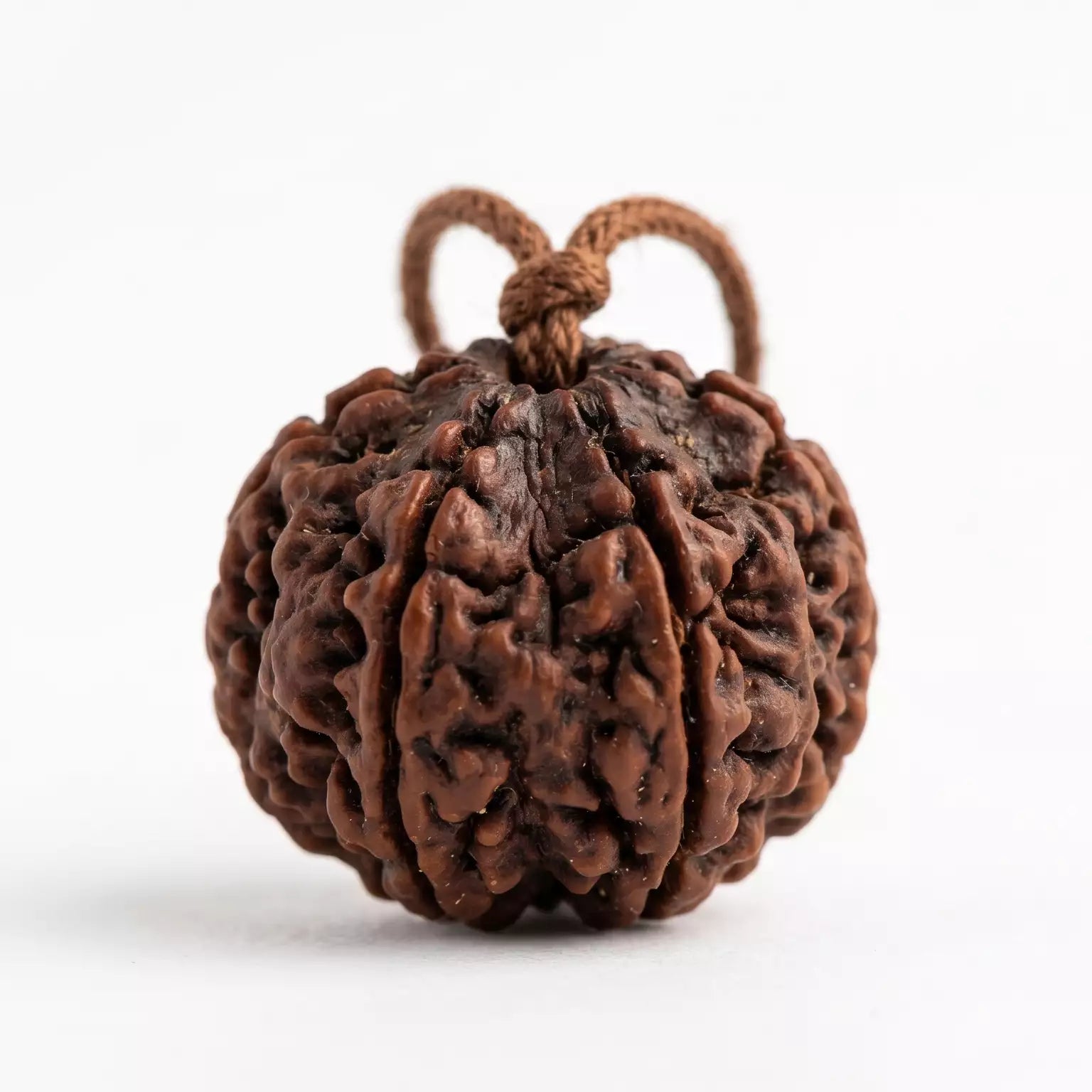 Rudraksha