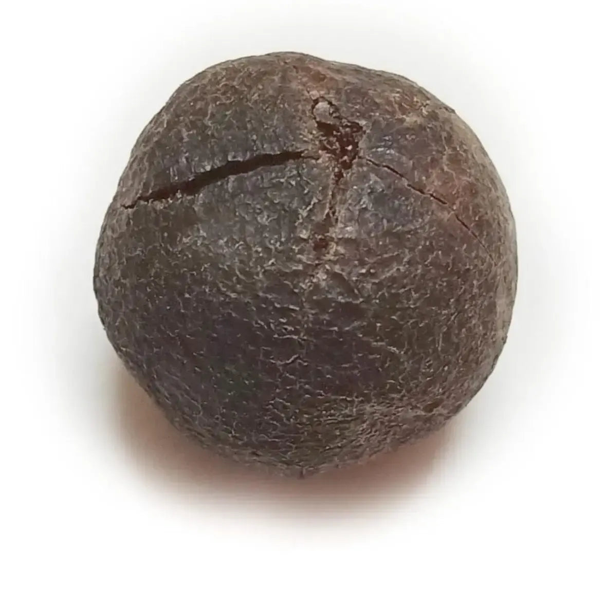 RUDRAKSHA FAL PREMIUM