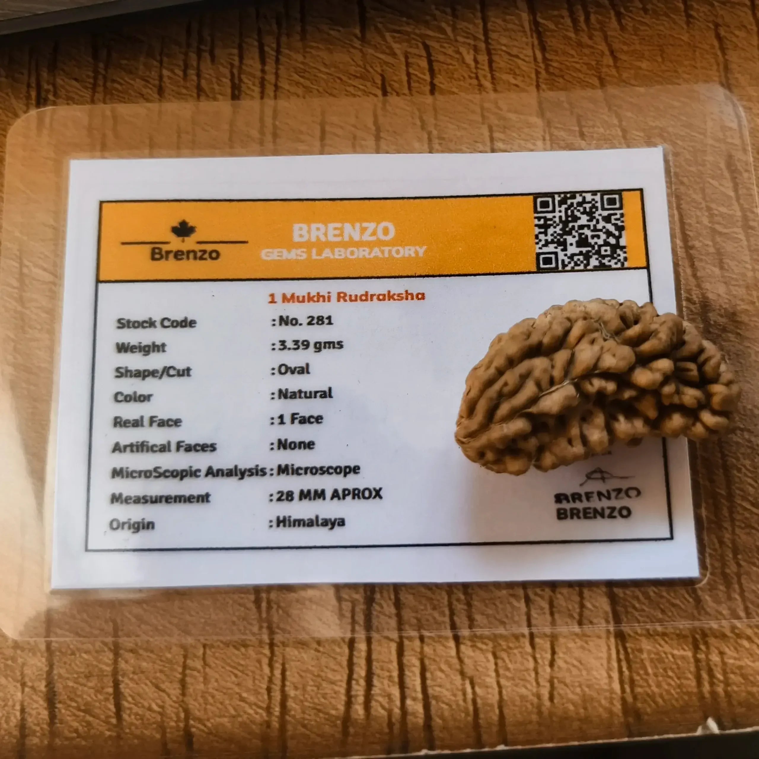 1 MUKHI RUDRAKSHA