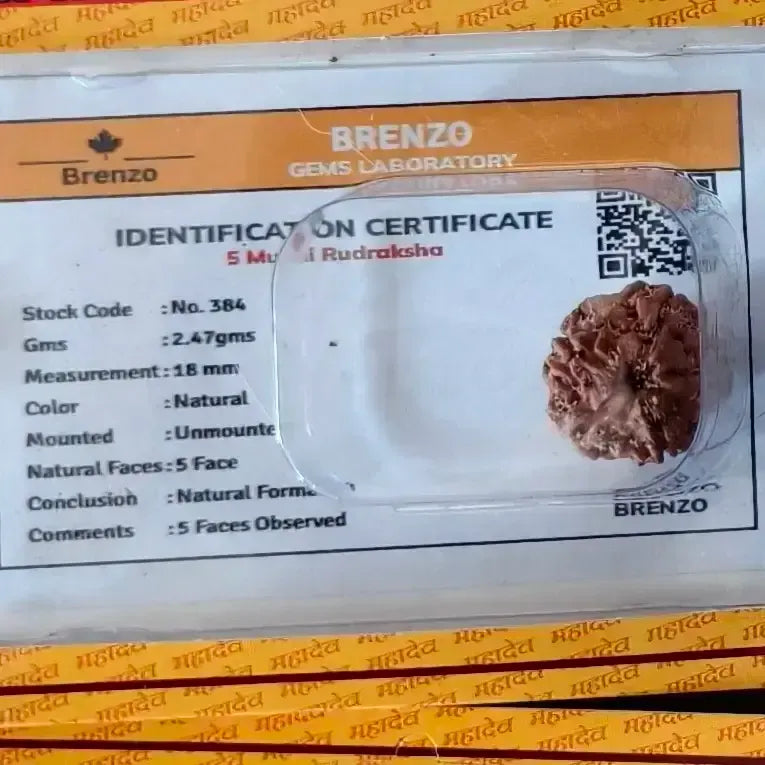 5 MUKHI RUDRAKSHA