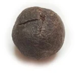 RUDRAKSHA FAL PREMIUM