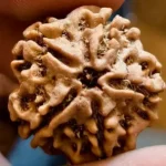 5 MUKHI RUDRAKSHA
